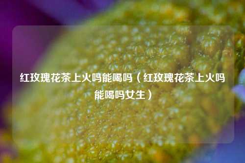 红玫瑰花茶上火吗能喝吗（红玫瑰花茶上火吗能喝吗女生）