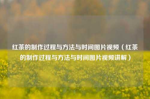 红茶的制作过程与方法与时间图片视频（红茶的制作过程与方法与时间图片视频讲解）
