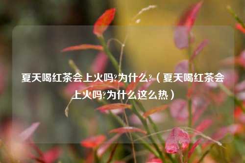 夏天喝红茶会上火吗?为什么?（夏天喝红茶会上火吗?为什么这么热）