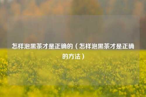 怎样泡黑茶才是正确的（怎样泡黑茶才是正确的方法）