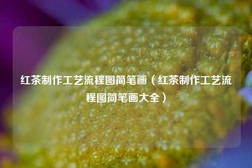 红茶制作工艺流程图简笔画（红茶制作工艺流程图简笔画大全）