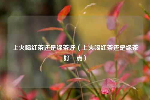 上火喝红茶还是绿茶好（上火喝红茶还是绿茶好一点）