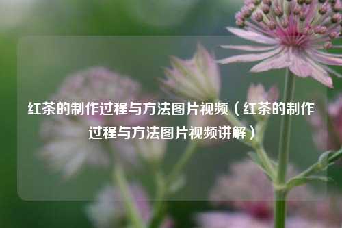 红茶的制作过程与方法图片视频（红茶的制作过程与方法图片视频讲解）