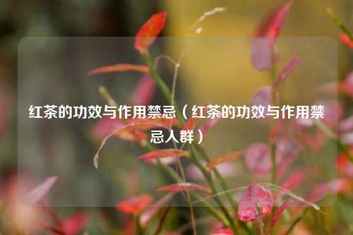 红茶的功效与作用禁忌（红茶的功效与作用禁忌人群）