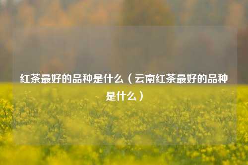 红茶最好的品种是什么（云南红茶最好的品种是什么）