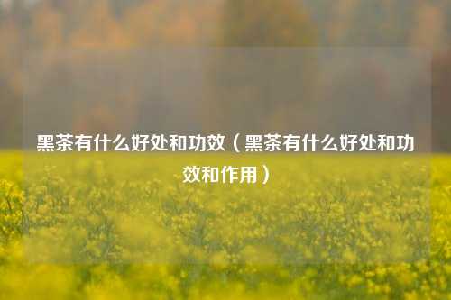 黑茶有什么好处和功效（黑茶有什么好处和功效和作用）