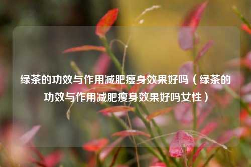 绿茶的功效与作用减肥瘦身效果好吗（绿茶的功效与作用减肥瘦身效果好吗女性）