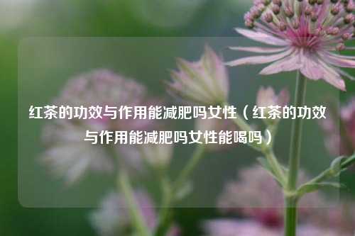 红茶的功效与作用能减肥吗女性（红茶的功效与作用能减肥吗女性能喝吗）