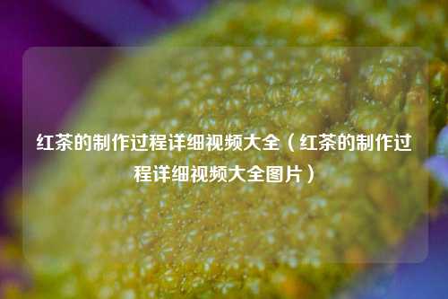 红茶的制作过程详细视频大全（红茶的制作过程详细视频大全图片）