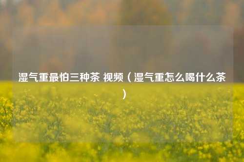 湿气重最怕三种茶 视频（湿气重怎么喝什么茶）