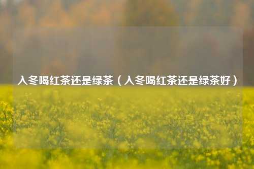 入冬喝红茶还是绿茶（入冬喝红茶还是绿茶好）