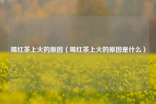 喝红茶上火的原因（喝红茶上火的原因是什么）