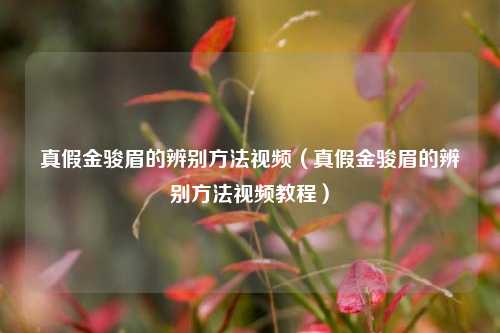 真假金骏眉的辨别方法视频（真假金骏眉的辨别方法视频教程）