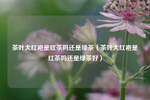 茶叶大红袍是红茶吗还是绿茶（茶叶大红袍是红茶吗还是绿茶好）