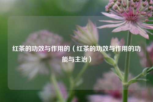 红茶的功效与作用的（红茶的功效与作用的功能与主治）