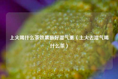 上火喝什么茶效果最好湿气重（上火去湿气喝什么茶）