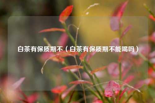 白茶有保质期不（白茶有保质期不能喝吗）