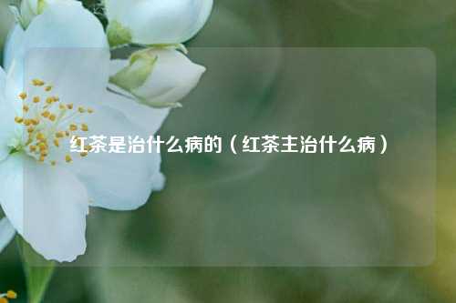红茶是治什么病的（红茶主治什么病）