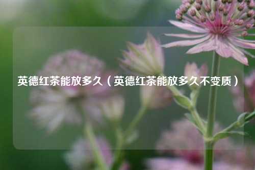 英德红茶能放多久（英德红茶能放多久不变质）