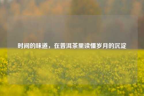 时间的味道,在普洱茶里读懂岁月的沉淀