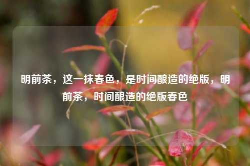 明前茶,这一抹春色,是时间酿造的绝版,明前茶,时间酿造的绝版春色