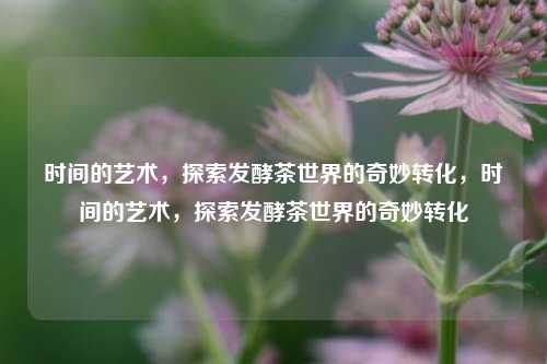 时间的艺术,探索发酵茶世界的奇妙转化,时间的艺术,探索发酵茶世界的奇妙转化