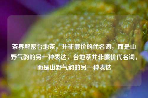 茶界解密台地茶,并非廉价的代名词,而是山野气韵的另一种表达,台地茶并非廉价代名词,而是山野气韵的另一种表达