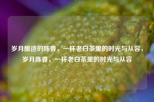 岁月酿造的陈香,一杯老白茶里的时光与从容,岁月陈香,一杯老白茶里的时光与从容
