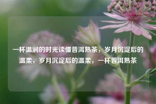 一杯温润的时光读懂普洱熟茶,岁月沉淀后的温柔,岁月沉淀后的温柔,一杯普洱熟茶