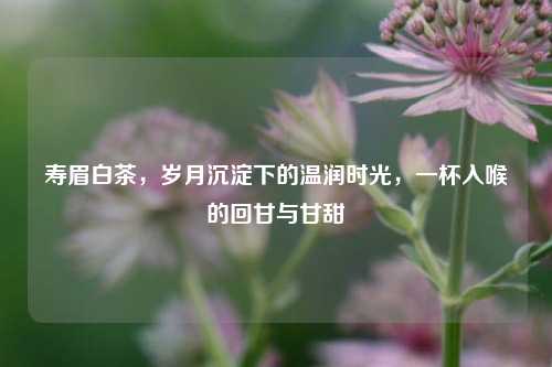 寿眉白茶,岁月沉淀下的温润时光,一杯入喉的回甘与甘甜