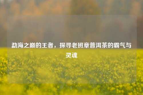 勐海之巅的王者,探寻老班章普洱茶的霸气与灵魂