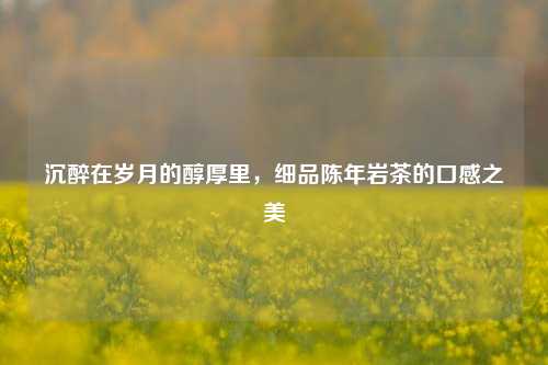 沉醉在岁月的醇厚里,细品陈年岩茶的口感之美