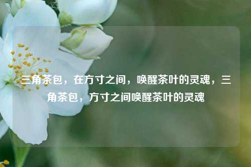三角茶包，在方寸之间，唤醒茶叶的灵魂，三角茶包，方寸之间唤醒茶叶的灵魂