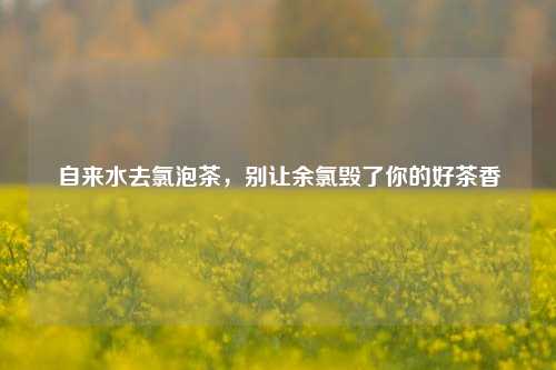 自来水去氯泡茶，别让余氯毁了你的好茶香