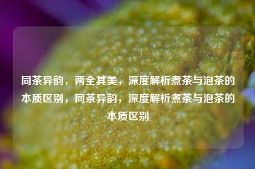同茶异韵，两全其美，深度解析煮茶与泡茶的本质区别，同茶异韵，深度解析煮茶与泡茶的本质区别