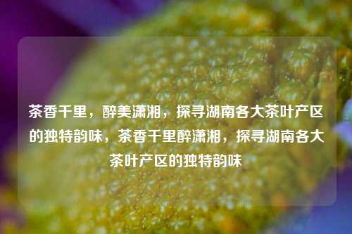 茶香千里，醉美潇湘，探寻湖南各大茶叶产区的独特韵味，茶香千里醉潇湘，探寻湖南各大茶叶产区的独特韵味