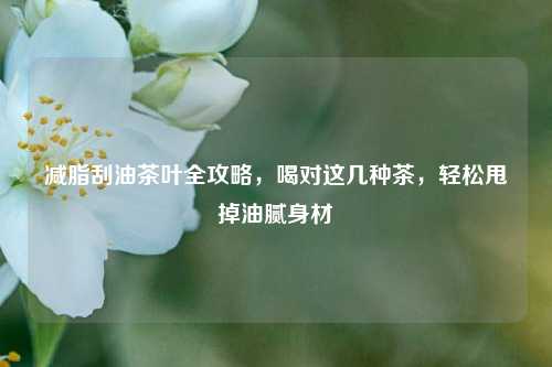 减脂刮油茶叶全攻略，喝对这几种茶，轻松甩掉油腻身材