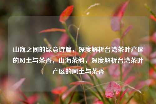 山海之间的绿意诗篇，深度解析台湾茶叶产区的风土与茶香，山海茶韵，深度解析台湾茶叶产区的风土与茶香