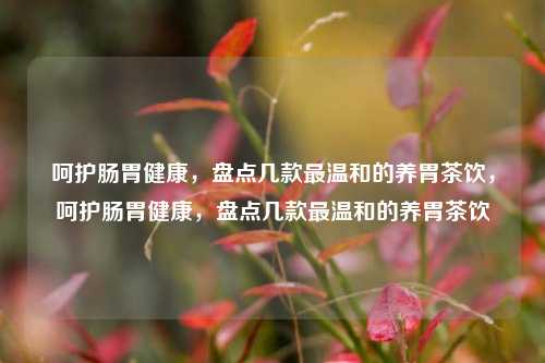 呵护肠胃健康，盘点几款最温和的养胃茶饮，呵护肠胃健康，盘点几款最温和的养胃茶饮