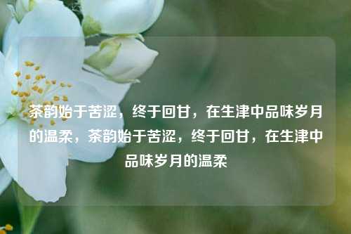 茶韵始于苦涩，终于回甘，在生津中品味岁月的温柔，茶韵始于苦涩，终于回甘，在生津中品味岁月的温柔