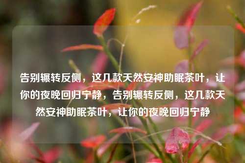告别辗转反侧，这几款天然安神助眠茶叶，让你的夜晚回归宁静，告别辗转反侧，这几款天然安神助眠茶叶，让你的夜晚回归宁静