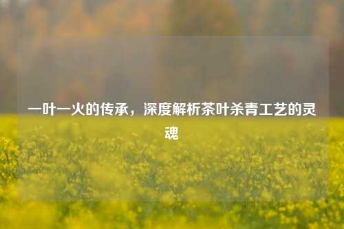 一叶一火的传承，深度解析茶叶杀青工艺的灵魂