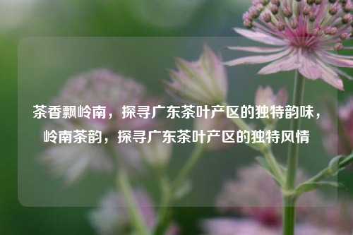 茶香飘岭南，探寻广东茶叶产区的独特韵味，岭南茶韵，探寻广东茶叶产区的独特风情