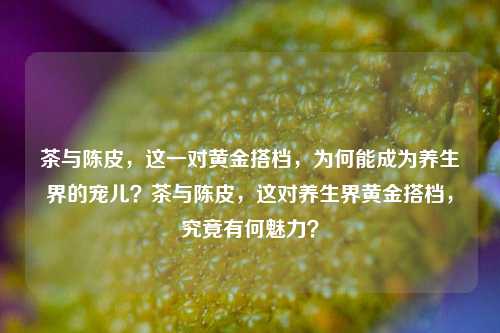 茶与陈皮，这一对黄金搭档，为何能成为养生界的宠儿？茶与陈皮，这对养生界黄金搭档，究竟有何魅力？