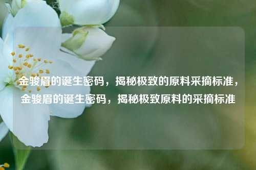 金骏眉的诞生密码，揭秘极致的原料采摘标准，金骏眉的诞生密码，揭秘极致原料的采摘标准