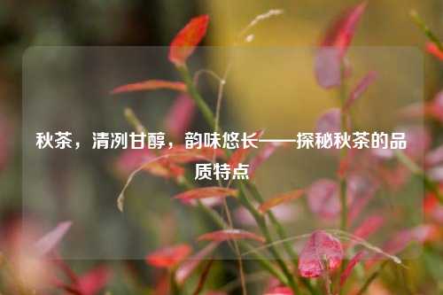 秋茶，清冽甘醇，韵味悠长——探秘秋茶的品质特点