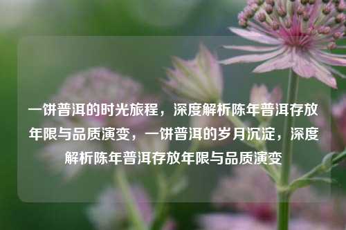 一饼普洱的时光旅程，深度解析陈年普洱存放年限与品质演变，一饼普洱的岁月沉淀，深度解析陈年普洱存放年限与品质演变