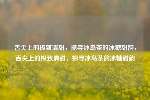 舌尖上的极致清甜，探寻冰岛茶的冰糖甜韵，舌尖上的极致清甜，探寻冰岛茶的冰糖甜韵