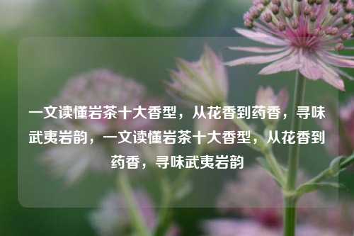 一文读懂岩茶十大香型，从花香到药香，寻味武夷岩韵，一文读懂岩茶十大香型，从花香到药香，寻味武夷岩韵