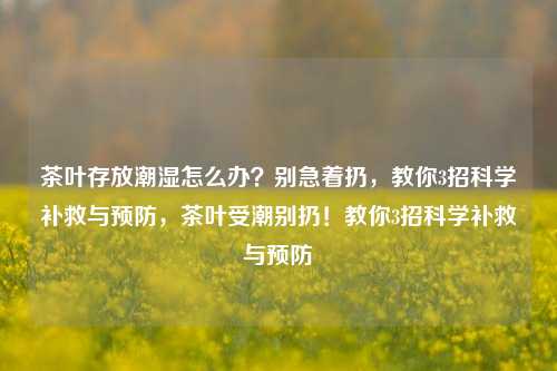 茶叶存放潮湿怎么办？别急着扔，教你3招科学补救与预防，茶叶受潮别扔！教你3招科学补救与预防
